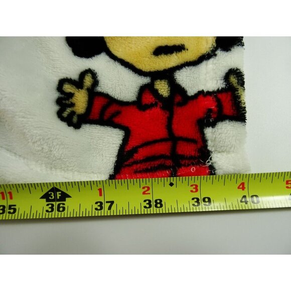 Peanuts Fleece Blanket Remind 40x25 Charlie Brown Lucy - Picture 6 of 7
